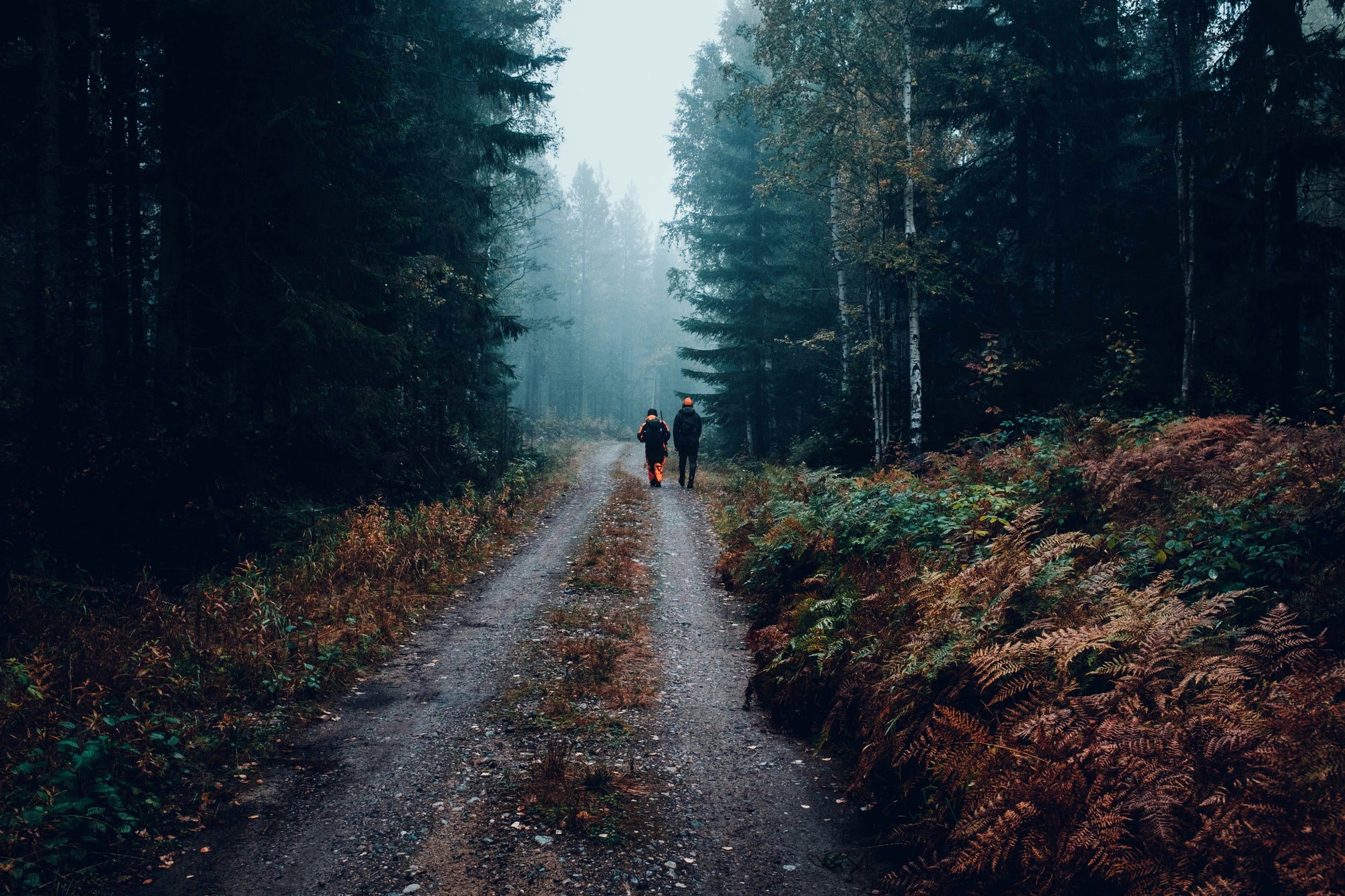Two hunters walking through a misty forest in the morning
